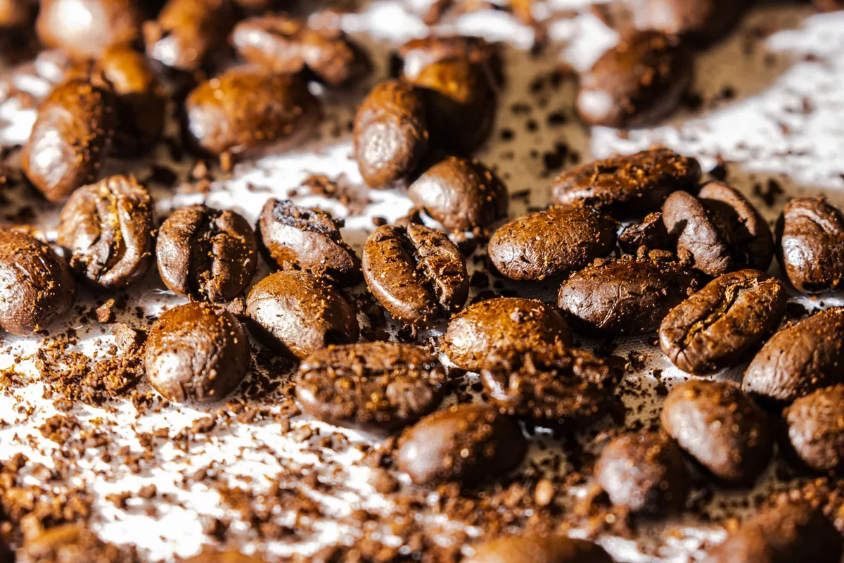 Close view of coarsely ground coffee