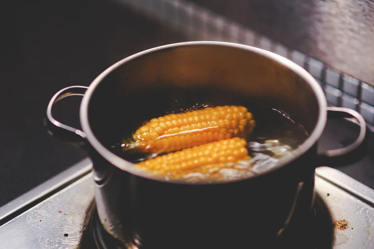 Corn cobs boiling in a pot of water on the stove