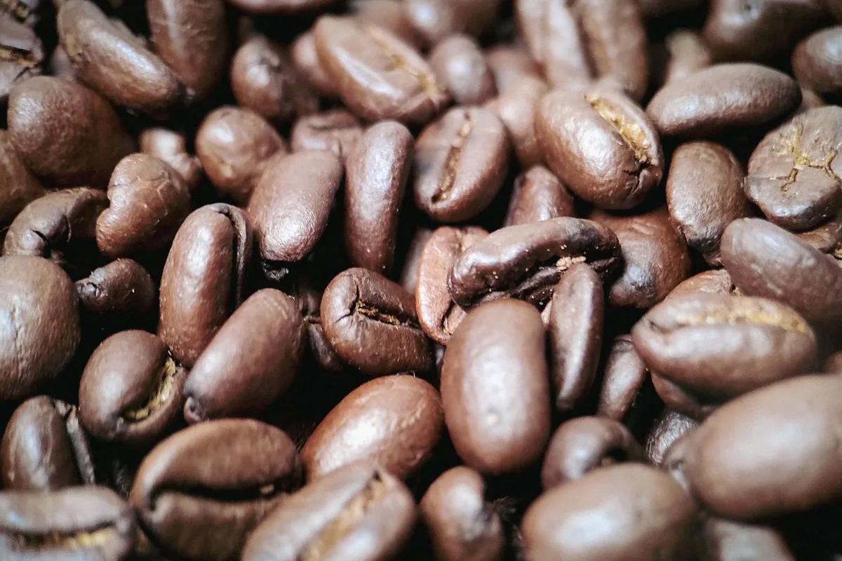 Dark roasted coffee beans piled together in close-up