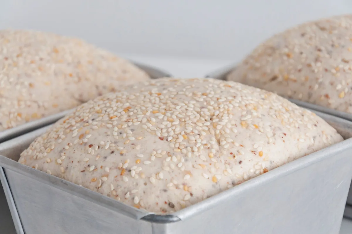 Pale bread dough rising above the rim of a rectangular loaf tin on a counter