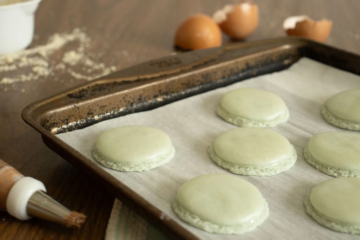 Pale round macaron shells piped in rows on a flat baking surface
