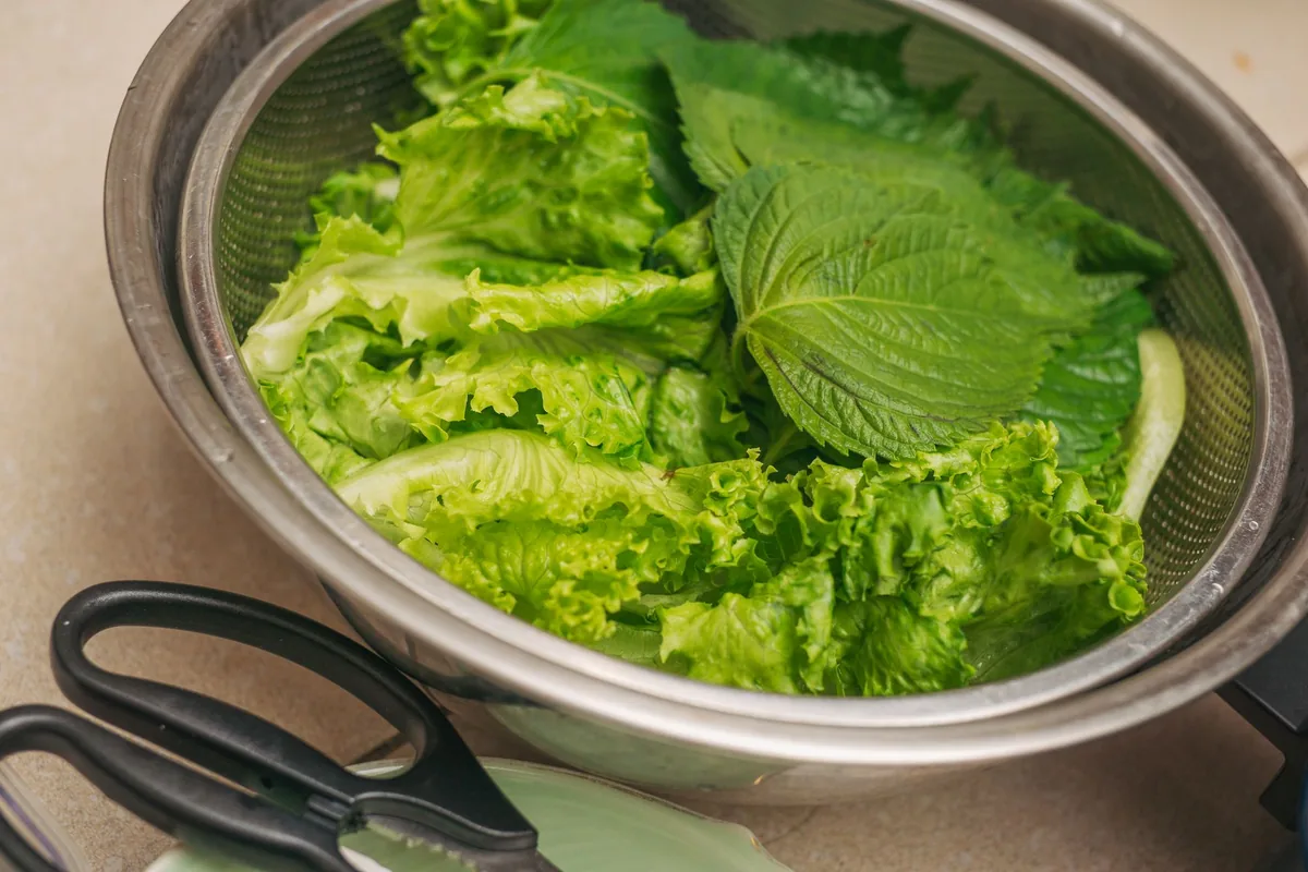 Rinsed green lettuce leaves draining in a white colander beside a sink