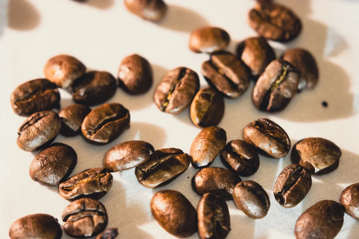 Roasted coffee beans in close-up