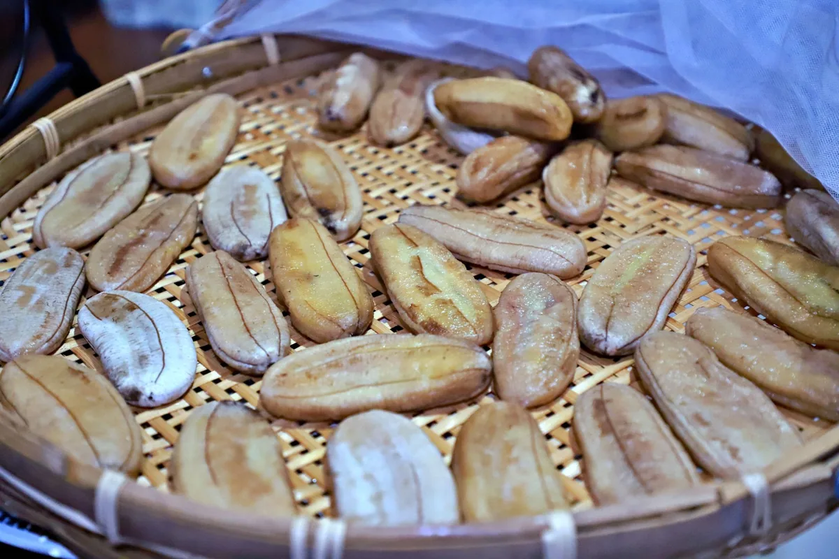 Banana slices drying on a woven tray