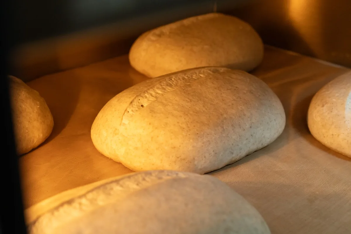 Round loaves of bread browning under an oven light