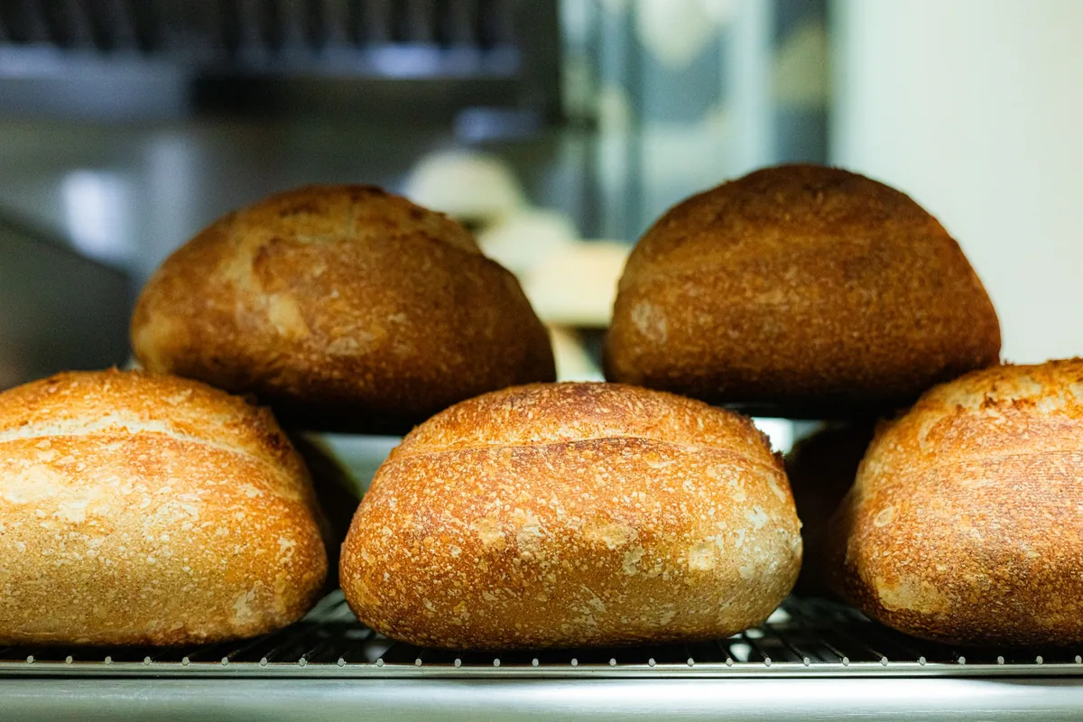 Several freshly baked loaves cooling on a wire rack on a kitchen counter