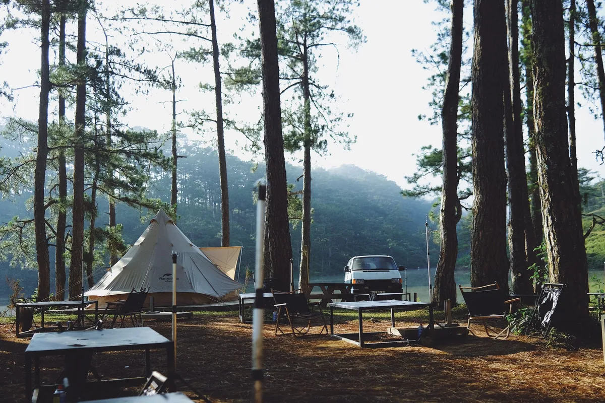 Tents and tables at a pine-forest campsite