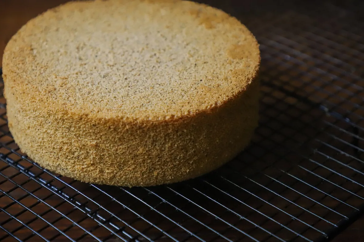 Two round sponge cake layers cooling on a metal wire rack